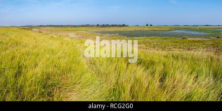 Panorama der Salzwiesen und Wattenmeer bei Ebbe von Wattenmeer auf der westfriesischen Insel Schiermonnikoog, Niederlande Stockfoto