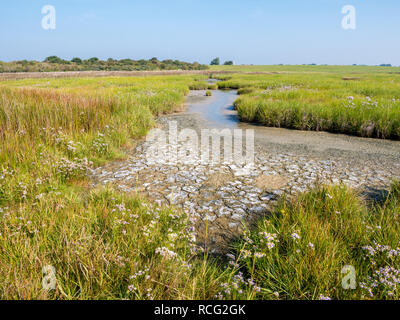 Panorama der Salzwiesen und Wattenmeer bei Ebbe von Wattenmeer auf der westfriesischen Insel Schiermonnikoog, Niederlande Stockfoto