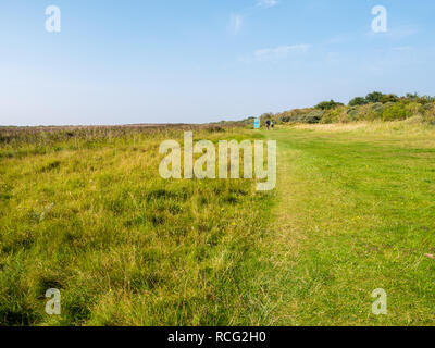 Menschen zu Fuß auf Fußweg von Salzwiesen auf der westfriesischen Insel Schiermonnikoog, Friesland, Niederlande Stockfoto