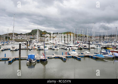 Conwy Marina an der Küste von North Wales. Stockfoto