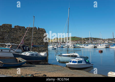 Einen schönen sonnigen Frühling in Conwy Hafen an der Küste von North Wales. Stockfoto