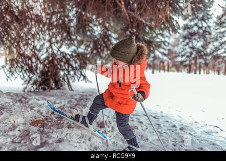Ein kleines Kind von 3-5 Jahre, Jungen in Winter's Kinder Ski, in warme Jacke und Hut. Wandern im Schnee auf dem Hintergrund des grünen Weihnachtsbäume. Erste Schritte in einem aktiven Lebensstil in einem verschneiten Wald. Stockfoto