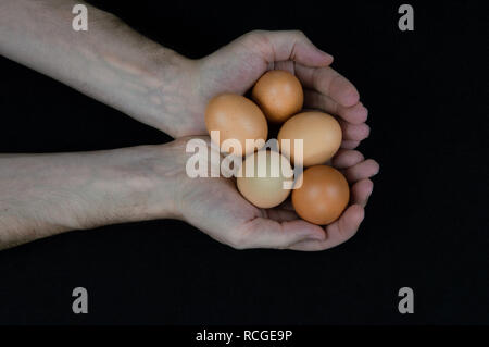 Mann hält fünf braune Eier in seinen Händen auf schwarzem Filz Hintergrund Stockfoto
