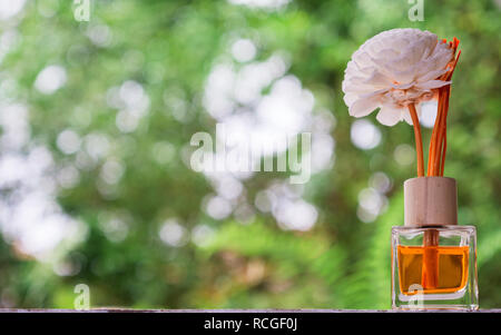 Aromatische reed Lufterfrischer, Duftspender Satz Flasche mit Aroma Sticks (reed Diffusoren) mit grüner Natur Hintergrund. Stockfoto