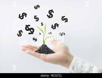 Pflanze Baum wachsen mit Dollarzeichen auf Geschäftsmann Hand. Die Investitionen der Unternehmen finanzielle Wachstum Konzept Ideen Stockfoto