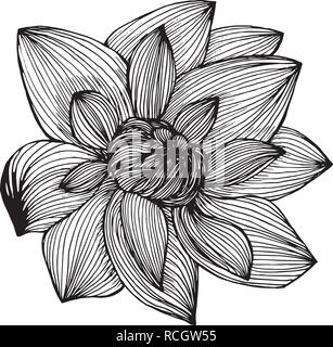 Lotus Illustration von freihandlinien gemacht. Tattoo Idee. Stock Vektor