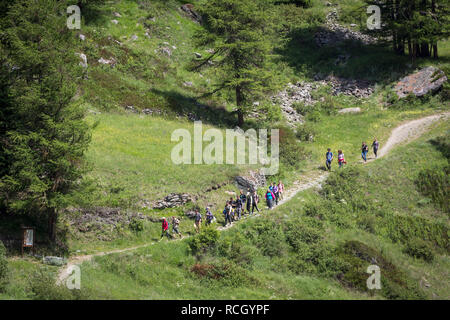 Wanderungen im Parco Nazionale del Gran Paradiso oder Nationalpark Gran Paradiso, Aostatal, Italien. Stockfoto