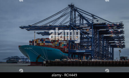 Maersk Line im Hafen von Felixstowe Stockfoto