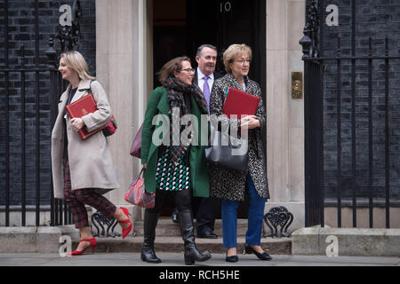 (Von links nach rechts) Chief Secretary, Schatzamt Liz Truss, Führer des Oberhauses Baroness Evans, den internationalen Handel Sekretär Liam Fox und Führer des Unterhauses Andrea Leadsom, 10 Downing Street, London, nach einer Kabinettssitzung vor dem Unterhaus Abstimmung über des Ministerpräsidenten Brexit beschäftigen. Stockfoto