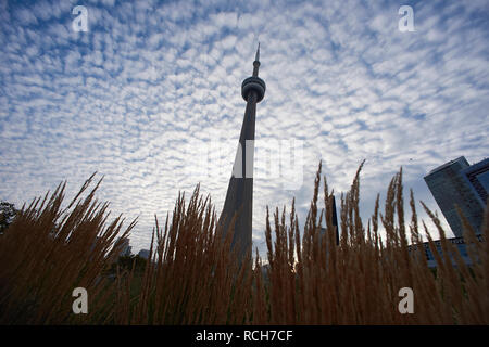 Low Angle Shot der erstaunlichen CN Tower in der Innenstadt von Toronto, Kanada, ein Wahrzeichen der Stadt Stockfoto