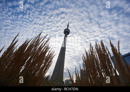 Low Angle Shot der erstaunlichen CN Tower in der Innenstadt von Toronto, Kanada, ein Wahrzeichen der Stadt Stockfoto