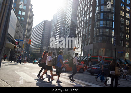 Pendler am frühen Morgen auf den Straßen von Toronto im Sommer Sonnenschein Stockfoto