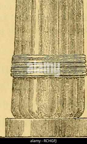 . Sterben Pflanzen im alten Aegypten: ihre Heimat, Geschichte, Kultur und Your mannigfache Verwendung im sozialen Leben im Kultus, Sitten, Gebräuchen, Ethnologie, Kunst. Botanik, wirtschaftlichen; Ethnobiology; Pflanze bleibt (Archäologie); Ethnobotanik; Botanik. iiiiiiiiiiiiiiiiigiBiii,;!,. Bitte beachten Sie, dass diese Bilder sind von der gescannten Seite Bilder, die digital für die Lesbarkeit verbessert haben mögen - Färbung und Aussehen dieser Abbildungen können nicht perfekt dem Original ähneln. extrahiert. Woenig, Franz, 1851-1899. Leipzig: A. Heitz Stockfoto