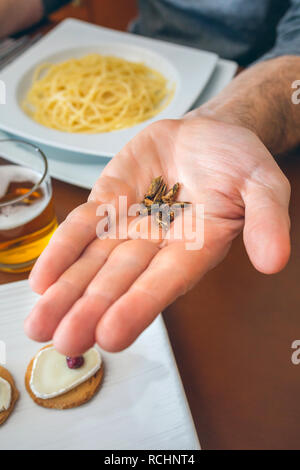 Menschen mit einer Handvoll Grillen Stockfoto