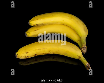 Drei Bananen auf einem schwarzen Hintergrund mit Spiegelung Stockfoto