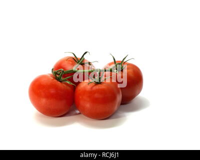 Tomaten, Strauch Tomaten mit Stängel, kleinen, weißen Hintergrund Stockfoto