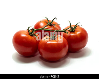 Tomaten, Strauch Tomaten mit Stängel, großer, weißer Hintergrund Stockfoto