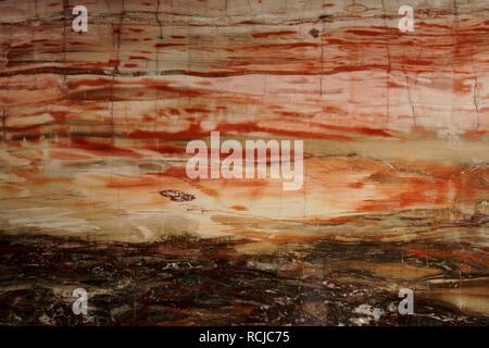 Ein schönes versteinertes Holz Hintergrund Textur in roten und gelben Farben. Horizontale Ansicht. Stockfoto