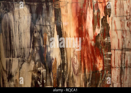 Ein schönes versteinertes Holz Hintergrund Textur in roten und gelben Farben. Stockfoto