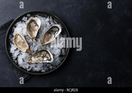 Frische Austern in einem Teller mit Eis auf schwarzem Hintergrund Stockfoto