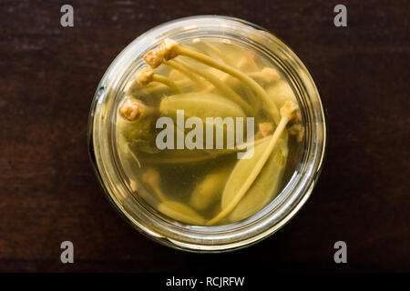 Glas Kapern in Wasser eingelegtes und eingemachtes Bereit zu Essen im Glas Schüssel. Ökologische Lebensmittel. Stockfoto