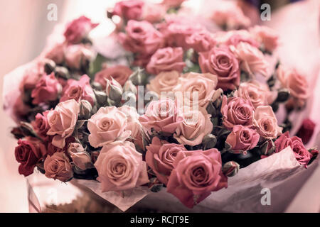 Großen Blumenstrauß aus Rosen close-up, Koralle Farbe, selektiven Fokus Stockfoto