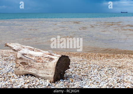 Alte Protokoll ist am Strand, Küste des Schwarzen Meeres Stockfoto