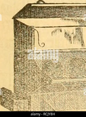 . Gefiederte Welt. Vögel. "Cftcberten pcifage im â^^ efl". Â"r. 49. Jlagbfburg, Ã¶ tn 6. Bcjcmbfr 1888. XVri. aolirgaitg. |) atnÃ¶ urÃ-5 (ltoiiaer 2? ereiu ber l^ Dgelfrcitttbe. internattonale Â" 0 &Amp; 6^ Â" nSSl 6 lIlIIIg H a m b u r g am 12., 13. und 14. Januar 1889 in Sagebiels Etalblissement A.-G. SliigfteÃ¼Iiiifl uon Ãaimrieii, anbcvtn Â© iitg: iiub3u'vuDgeIii, Siaffe: uiib SiiniÃ ¤ tauben u. (.Lu., Dcvbimbt' ii mit eiiicv' einer 'TOavftnbttjeiliimj iSaiminmg imb. So (e Ã¤ Ã¶ Ã¼ ^^f. imb jebe Jlugtiintt biivc^ beu Ã¤! Oder | 'Il * ciiben, § evni J.R. Weller, © amDurfl, Â© djlniiniftrafee 50 US [Iti 34] Stockfoto