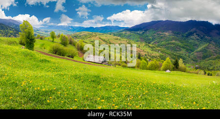 Löwenzahn im ländlichen Bereich in den Bergen. schönen Frühling Landschaft. Dorf in der Ferne Tal. Stockfoto