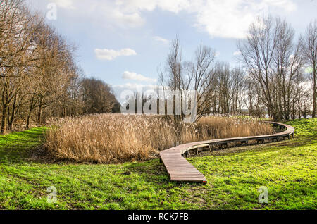 Holzbrett Brücke in einer Landschaft mit Schilf, Büsche, Bäume und Gras, gelegentlich überschwemmt, die von dem in der Nähe gelegenen Fluss Oude Maas, in dem Rotterdamer Stadtteil o Stockfoto
