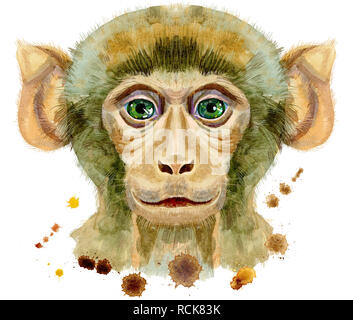 Affenkopf Horoskop Zeichen auf weißem Hintergrund. Monkey watercolor Illustration mit Spritzwasser. Stockfoto