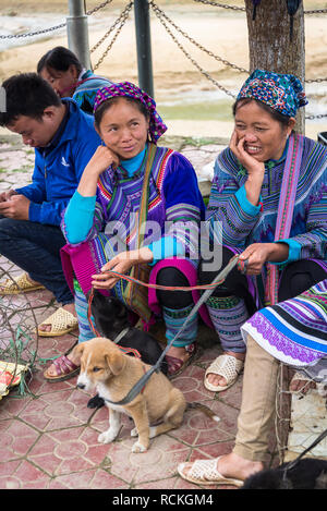 Verkauf von Hunden an bunten Bac Ha Markt am Sonntag in der Flower Hmong Minderheit Dorf im Norden von Vietnam Stockfoto