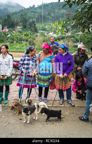 Verkauf von Hunden an bunten Bac Ha Markt am Sonntag in der Flower Hmong Minderheit Dorf im Norden von Vietnam Stockfoto