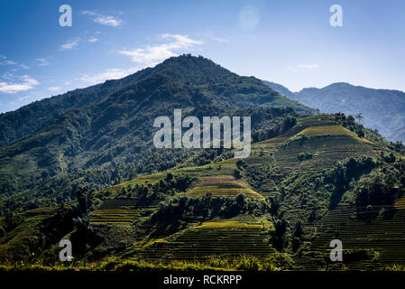 Reisterrassen, Hoang Lien Son Berge, Sa Pa, nordwestlichen Vietnam Stockfoto