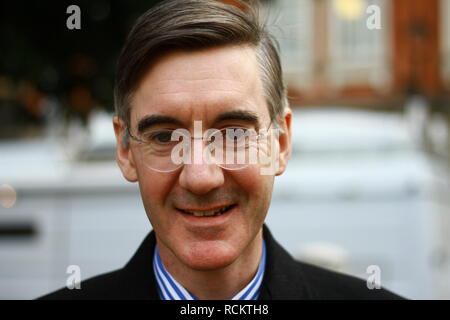 Jakob Rees-Mogg Konservative MP in Westminster, London, Großbritannien. Am 15. Januar 2019. Klares Bild mit hoher Qualität der prominenten Mitglied des Parlaments. Jakob William Rees-Mogg. Die britischen Politiker. Die britische Politik. Politik. Stockfoto