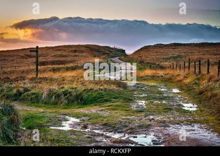 Schlechte Straßen auf die Pennine Way, das Rückgrat von England, Standedge Stockfoto