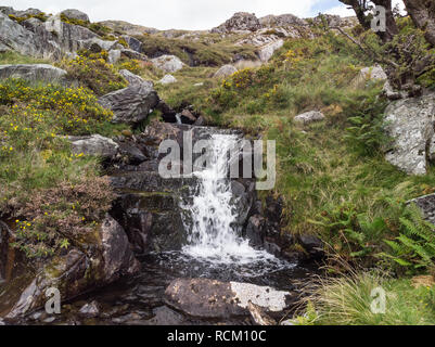 Drone Luftaufnahme Landschaft der Fluß über die Felsen und Wasserfall in Snowdonia fließende Stockfoto