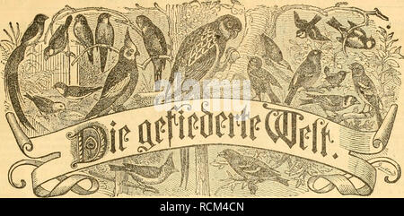 . Gefiederte Welt. Vögel. Für scitfcfirift Sogelliefi^ afier, = 3 Ew) ter Mib = § äiiMer. SBefieUimgcu bind) jcbe Sii (!^s^aubtiing, foiuie Jebe*^^o) lanftaIt. ^^ 3 9 rcig Dierteliiiljrlic Jfarf. Entlid SBöc^^ Löwen 5 Ttummfr. Jp er ausgegeben von Dr. Maxi l?u^. 3 Jebaftioit: Serlin, Seacadiaiicejlrajje 81 III. 9 (n 5 e i g c n" etben bie gcfpaltene^ ctit', cile mit 25 55 fg. Berechnet die imb SBeftcttungen in Bet (Srpebition unb Diebaftion entgegengenommen. ITr. 51. Jla (;^cburg, Ben 22. Jlrjcmbcr 1887. Xvi. Jalirgong. 5&gt; te Erneuerung öes JlSoniaentenfs ivivb in Erinnerung fleneigfe geßrac ^f. $ n^att: 3u Stockfoto