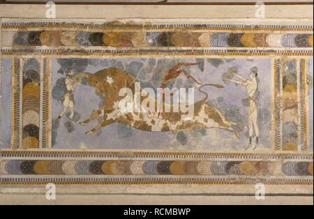 Bull-Leaping (aus der Palastanlage von Knossos). Museum: Archäologisches Museum in Heraklion, Kreta. Thema: Bronze alter Kultur. Stockfoto