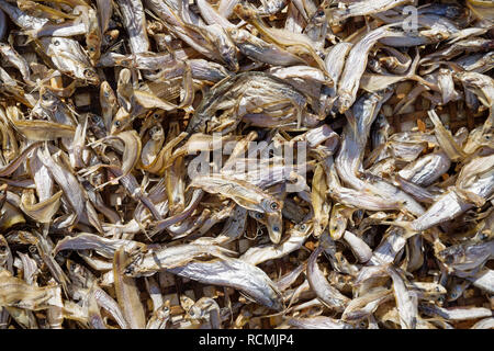 Getrocknete Fische trocknen auf einem Korb Tablett in Laos Stockfoto