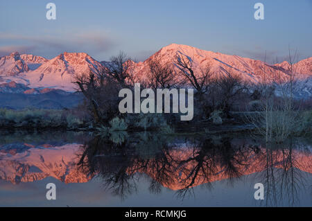 Sonnenaufgang auf der östlichen Sierra Berge spiegeln sich in einem Teich in der Nähe von Bishop California Stockfoto