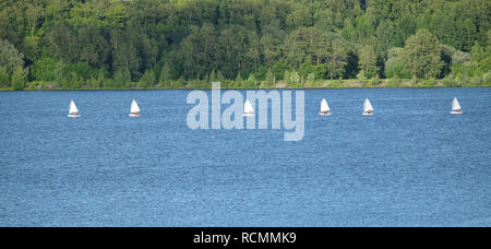 Meereslandschaft mit sechs kleinen Sport Yachten segeln in ruhigem Wasser in der Nähe der grünen Küste auf hellen sonnigen Sommertag Stockfoto