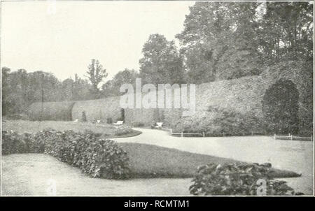 . Gartenkunst sterben. Landschaftsbau; Gärten - Europa. 152 STERBEN GARTENKUNST. XI: j. Aus dem Hofgarten von Schwerin. Laubengänge. gleitet ist und dessen Ränder mit Skulpturen ge-schmückt Sindh. Of this Kreuzkanal mündet in einer Art freien Gartengrundes in zwei Armen aus, und das Ganze wird gegen das Schloß zu durch einen Halbkreis nied- riger, Pflanzungen abgeschlossen. Das Schloß selbst Balatonfüred auf einer Insel des Schweriner sieht und ist mit dem Garten nur verlieren durch einen Brückenweg verbunden. Das Hauptmerkmal of this Gartenflucht Balatonfüred darin, daß das Wasser in ihm eine hervorragende Rolle sp Stockfoto