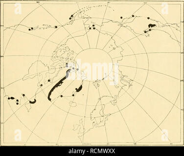 . Sterben Decapoden Crustaceen des Eisfjords. Krebstiere; Krebstiere. KUNGL. SV. VET. AKADEMIENS HANDLINOAR. BAND 54. N: 0 7. 93 III. Westliche Arten. . Stephensen (1912, 1913) unterscheidet eine Gruppe "endemische westgrönländi inid-sche Litoralarten" eine Gruppe "endemisclie grönländische Litoralarten"; in der Ar-beit von 1913 Werdener sterben zuerst zu der zweiten Gruppe gerechneten Decapoden in sterben erste übergeführt. This Gruppe ist ziemlich heterogen und keineswegs Decapoden grösstenteils in Grönland endemisch; von Stephensen / Calman sterben als "arktisch-amerikanisch" bezeichneten Arten sind n Stockfoto