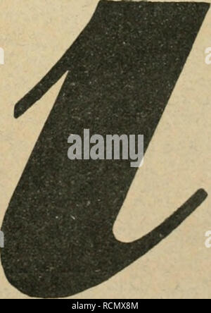 . Gartenkunst sterben. Landschaftsbau; Gärten - Europa. Extra starke Park-u. Alleebäume bis 15 cm Einspritzdruck. == Starke Zlergeliölze und Sträueher. = grosse Coniferen bis 4 m hoch. (Taxus Whipplei bis 450 cm hoch). Immergrüne Gehölze usw., alles regelmässig verpflanzt, in gröberen Sortenswahl. Besichtigung erwünscht. • Illustr. Katalog gerunds. G, FralaMOL, Baumschulen, Elmshorn in Schleswig-Holstein. Rheinisch. Gartenarchitekfurbüro sucht für sofort einen geiuandten Gartentechnike s. verlangt wird tadellose Crartenansichteu Darstellnng, Tonne, Plänen etc., wenn möglich Erfahrung in Berechnungen, Ans Stockfoto