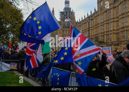 London, Großbritannien. 15. Januar, 2019. Häuser des Parlaments.... Demonstranten sammeln außerhalb der Häuser des Parlaments, der auf den Tag des Brexit Stimmen. Credit: charlie Bryan/Alamy leben Nachrichten Stockfoto