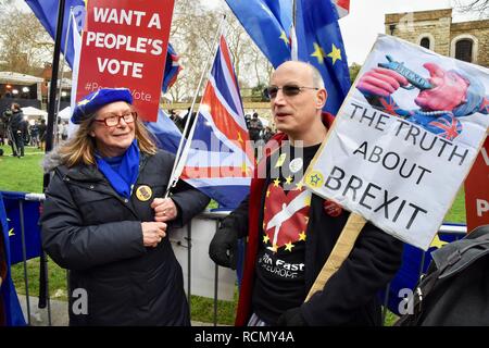 Remainers, Pro- und Anti Brexit Demonstranten sammeln außerhalb des Parlaments am Tag der Theresa's Sinnvoll abstimmen. Houses of Parliament, Westminster, London, UK Stockfoto