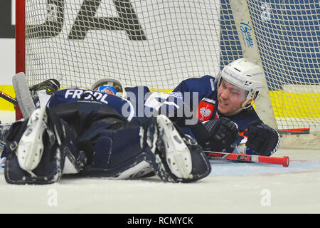 Pilsen, Tschechische Republik. 15 Jan, 2019. L-R Dominik Frodl und David Kvasnicka (beide Plzen) im Rückspiel der Eishockey Champions League Play off Halbfinale HC Skoda Plzen vs Frolunda Indianer gesehen werden, und am 15. Januar 2018, in Pilsen, Tschechische Republik. Credit: Miroslav Chaloupka/CTK Photo/Alamy leben Nachrichten Stockfoto