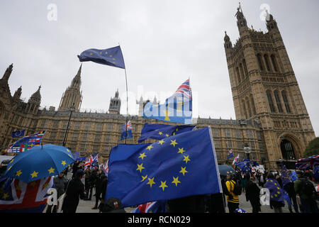 London, Großbritannien. 15 Jan, 2019. Anti-Brexit Demonstranten halten Fahnen außerhalb der Häuser des Parlaments in London, Großbritannien, am 31.01.15. 2019. Eine verzögerte parlamentarische Abstimmung über den Brexit befassen soll am Dienstag stattfinden. Quelle: Tim Irland/Xinhua/Alamy leben Nachrichten Stockfoto