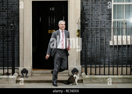 London, Großbritannien. 15 Jan, 2019. Britische Brexit Staatssekretär Stephen Barclay verlässt nach einer Kabinettssitzung in Downing Street 10 in London, Großbritannien, am 31.01.15. 2019. Eine verzögerte parlamentarische Abstimmung über den Brexit befassen soll am Dienstag stattfinden. Quelle: Tim Irland/Xinhua/Alamy leben Nachrichten Stockfoto